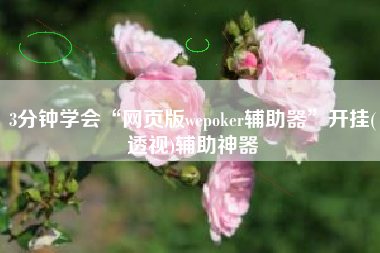 3分钟学会“网页版wepoker辅助器”开挂(透视)辅助神器