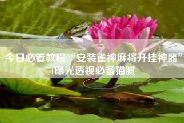 今日必看教程“安装雀神麻将开挂神器	”(曝光透视必备猫腻