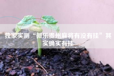 独家实测“微乐贵州麻将有没有挂	”其实确实有挂