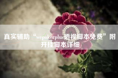 真实辅助“wepokerplus透视脚本免费”附开挂脚本详细