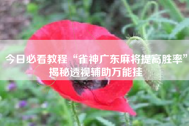 今日必看教程“雀神广东麻将提高胜率	”揭秘透视辅助万能挂