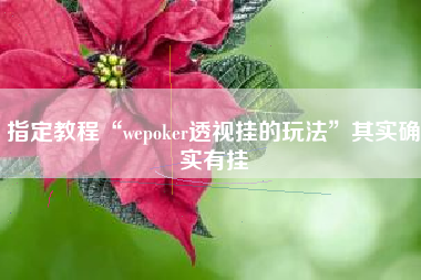 指定教程“wepoker透视挂的玩法	”其实确实有挂
