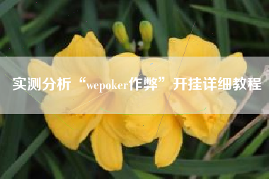 实测分析“wepoker作弊”开挂详细教程