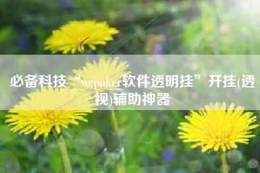 必备科技“wepoker软件透明挂”开挂(透视)辅助神器