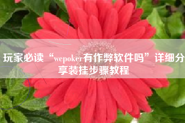 玩家必读“wepoker有作弊软件吗”详细分享装挂步骤教程