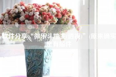 软件分享“微乐斗地主(透视)”(原来确实是有插件