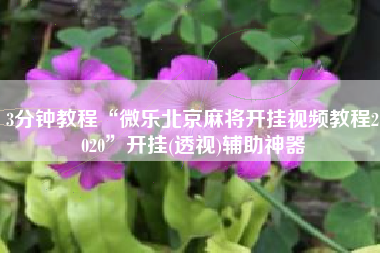 3分钟教程“微乐北京麻将开挂视频教程2020”开挂(透视)辅助神器