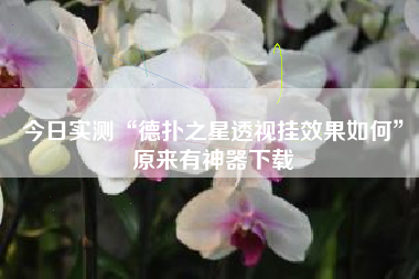 今日实测“德扑之星透视挂效果如何”原来有神器下载