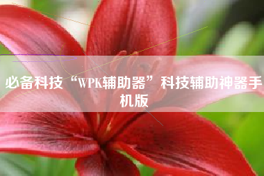 必备科技“WPK辅助器”科技辅助神器手机版