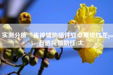 实测分析“雀神辅助插件安卓系统红龙poker有透视辅助挂(太