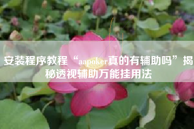 安装程序教程“aapoker真的有辅助吗”揭秘透视辅助万能挂用法