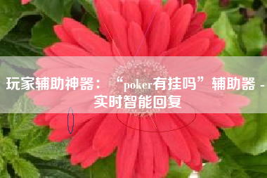 玩家辅助神器:“poker有挂吗”辅助器 - 实时智能回复 玩家辅助神器:“poker有挂吗”辅助器 - 实时智能回复