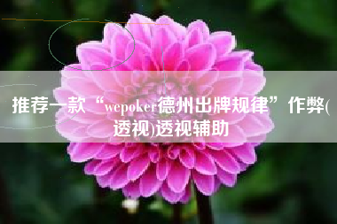 推荐一款“wepoker德州出牌规律”作弊(透视)透视辅助