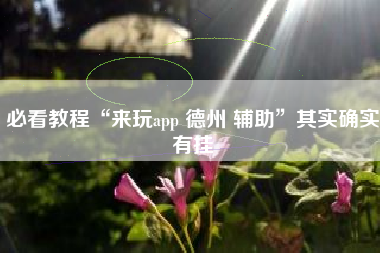 必看教程“来玩app 德州 辅助”其实确实有挂