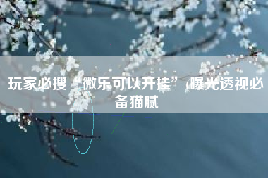 玩家必搜“微乐可以开挂”(曝光透视必备猫腻