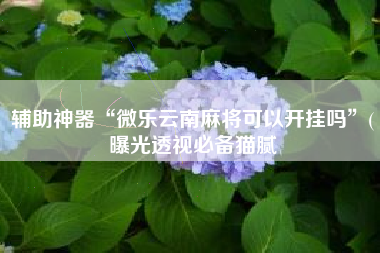 辅助神器“微乐云南麻将可以开挂吗	”(曝光透视必备猫腻