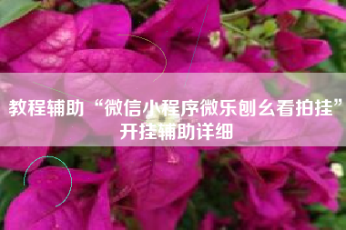 教程辅助“微信小程序微乐刨幺看拍挂”开挂辅助详细