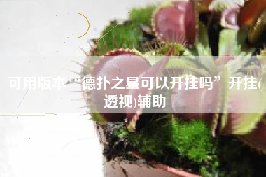 可用版本“德扑之星可以开挂吗”开挂(透视)辅助