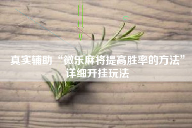 真实辅助“微乐麻将提高胜率的方法”详细开挂玩法