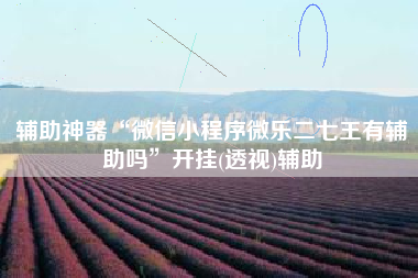 辅助神器“微信小程序微乐二七王有辅助吗	”开挂(透视)辅助