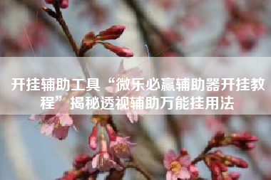 开挂辅助工具“微乐必赢辅助器开挂教程	”揭秘透视辅助万能挂用法