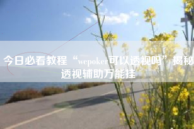 今日必看教程“wepoker可以透视吗”揭秘透视辅助万能挂