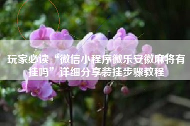 玩家必读“微信小程序微乐安徽麻将有挂吗”详细分享装挂步骤教程