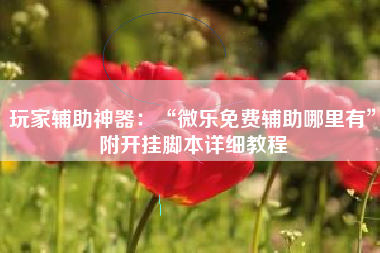 玩家辅助神器：“微乐免费辅助哪里有”附开挂脚本详细教程