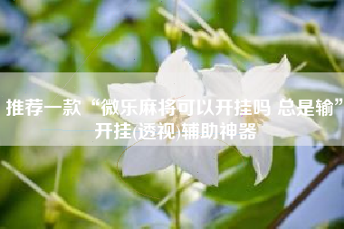 推荐一款“微乐麻将可以开挂吗 总是输”开挂(透视)辅助神器