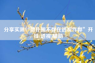 分享实测“德扑圈不存在透视作弊”开挂(透视)辅助