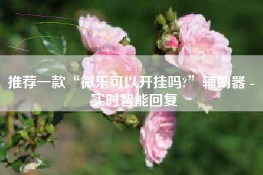 推荐一款“微乐可以开挂吗?”辅助器 - 实时智能回复