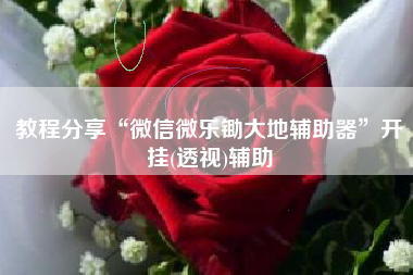 教程分享“微信微乐锄大地辅助器”开挂(透视)辅助