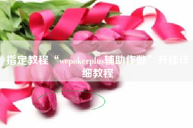 指定教程“wepokerplus辅助作弊”开挂详细教程