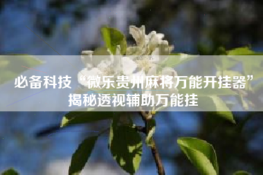 必备科技“微乐贵州麻将万能开挂器”揭秘透视辅助万能挂