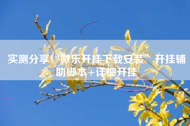 实测分享“微乐开挂下载安装	”开挂辅助脚本+详细开挂