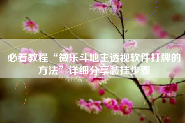 必看教程“微乐斗地主透视软件打牌的方法”详细分享装挂步骤