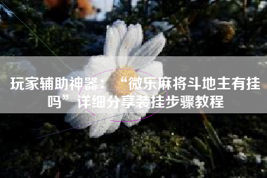 玩家辅助神器：“微乐麻将斗地主有挂吗”详细分享装挂步骤教程