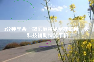 3分钟学会“微乐麻将免费挂试用一天”科技辅助神器手机