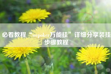 必看教程“wepoker万能挂”详细分享装挂步骤教程