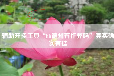 辅助开挂工具“hh德州有作弊吗”其实确实有挂