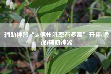 辅助神器“ak德州胜率有多高”开挂(透视)辅助神器