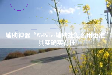 辅助神器“WePoker辅助挂怎么用更准	”其实确实有挂