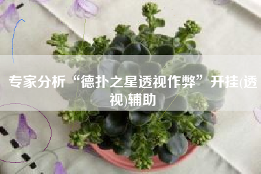 专家分析“德扑之星透视作弊	”开挂(透视)辅助