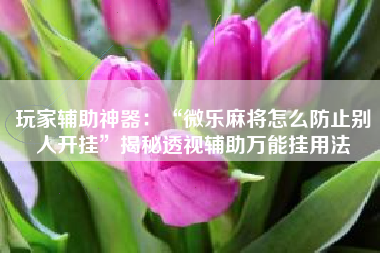 玩家辅助神器：“微乐麻将怎么防止别人开挂	”揭秘透视辅助万能挂用法