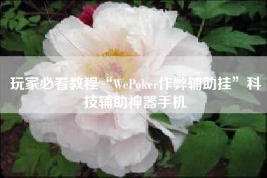 玩家必看教程“WePoker作弊辅助挂”科技辅助神器手机