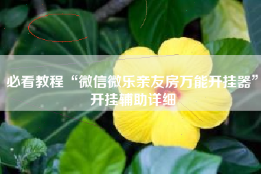 必看教程“微信微乐亲友房万能开挂器	”开挂辅助详细
