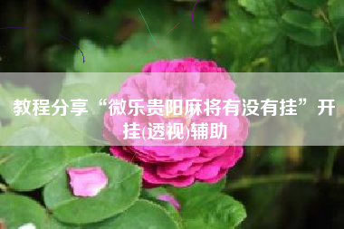 教程分享“微乐贵阳麻将有没有挂”开挂(透视)辅助