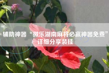 辅助神器“微乐湖南麻将必赢神器免费”详细分享装挂
