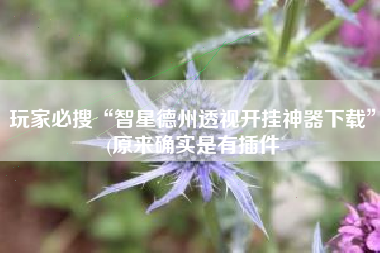 玩家必搜“智星德州透视开挂神器下载	”(原来确实是有插件
