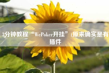 3分钟教程“WePoker开挂”(原来确实是有插件